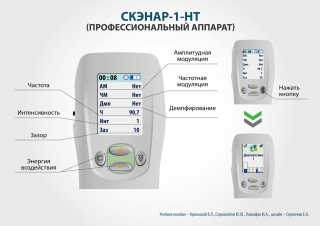 СКЭНАР-1-НТ (исполнение 01)  в Чистополе купить Медицинская техника - denasosteo.ru 
