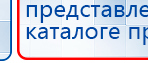 СКЭНАР-1-НТ (исполнение 02.1) Скэнар Про Плюс купить в Чистополе, Аппараты Скэнар купить в Чистополе, Медицинская техника - denasosteo.ru